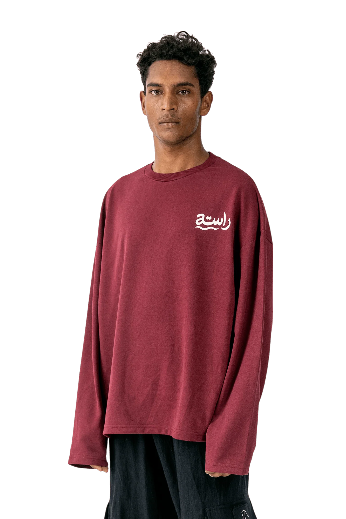 Aasteen ka saanp full-sleeve T-shirt - Image 6