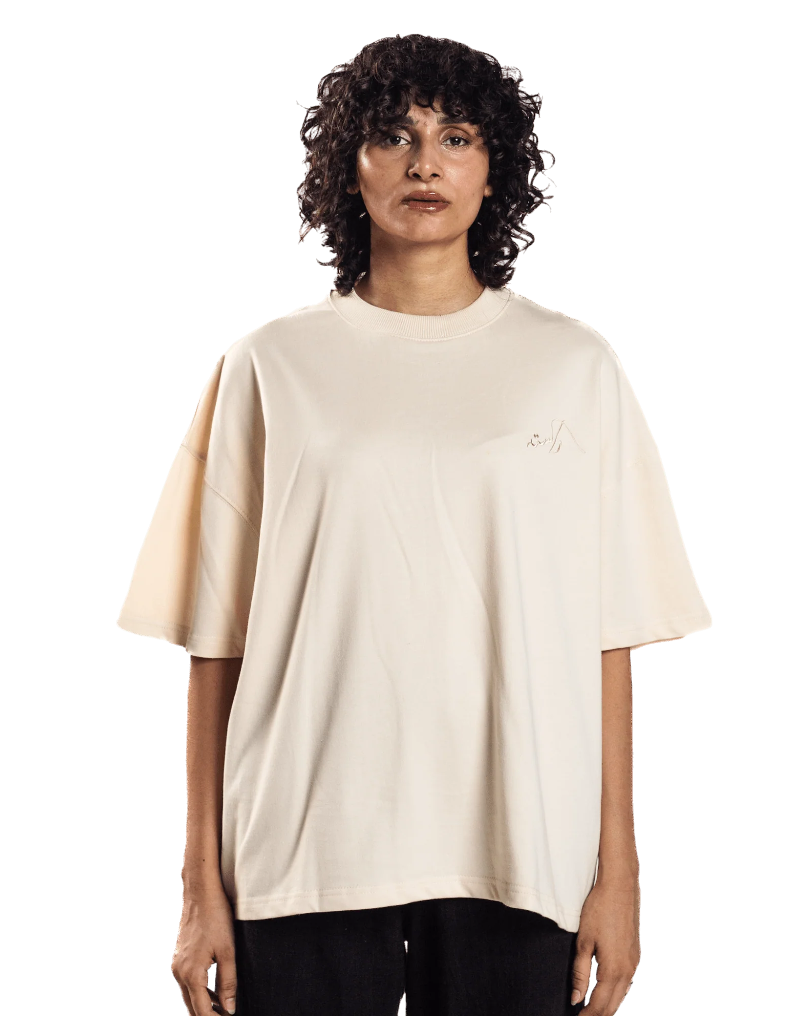 Embroidered beige made in PAK T-shirt (V2) - Image 4