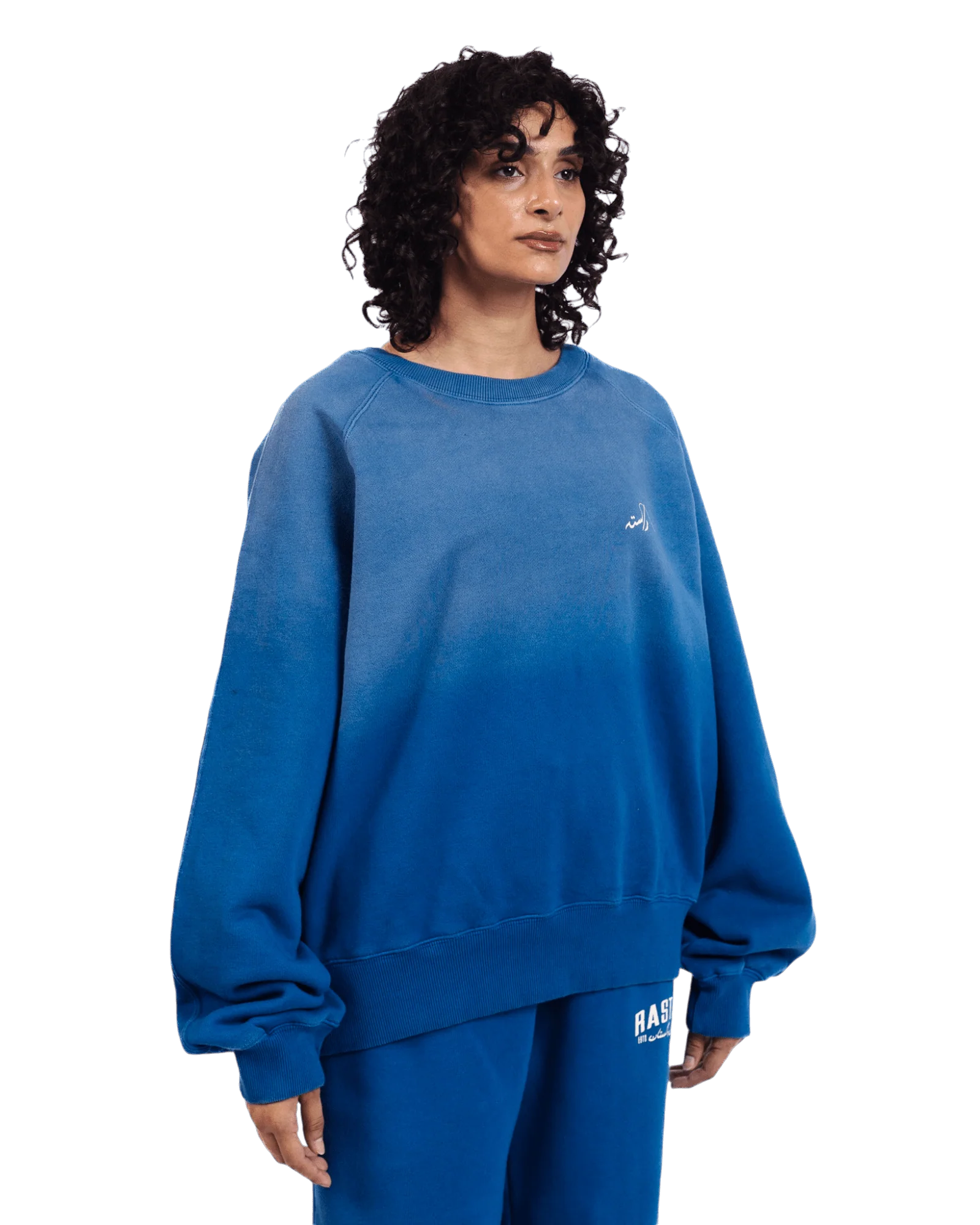 Faded blue logo sweatshirt (V2) - Image 8