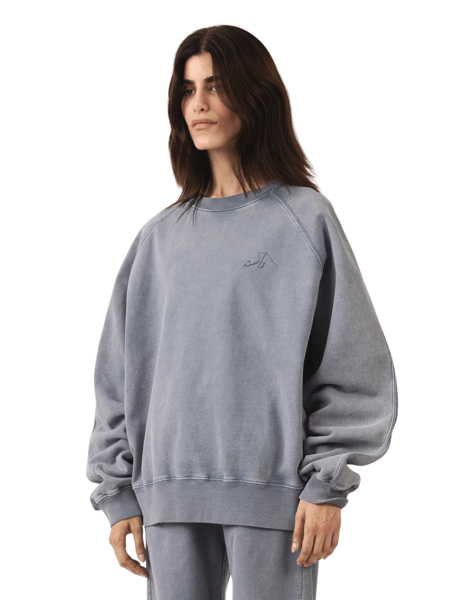 Pale iris acid wash made in PAK sweatshirt (V5) - Image 10