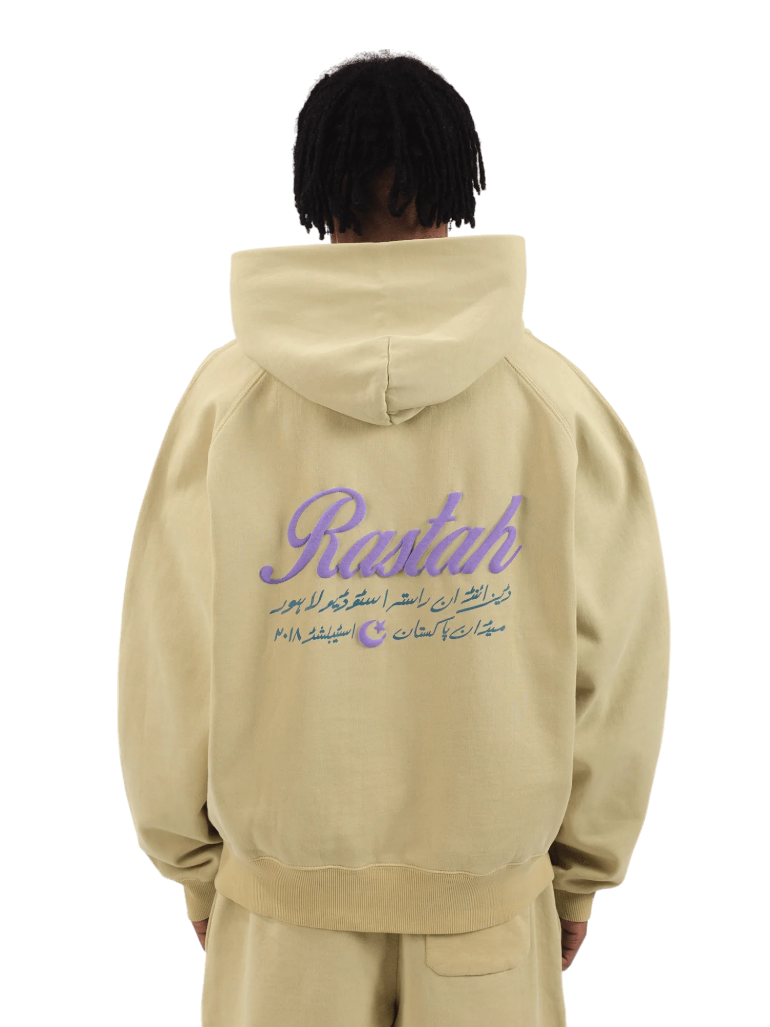 Pistachio made in PAK hoodie (V4) - Image 2
