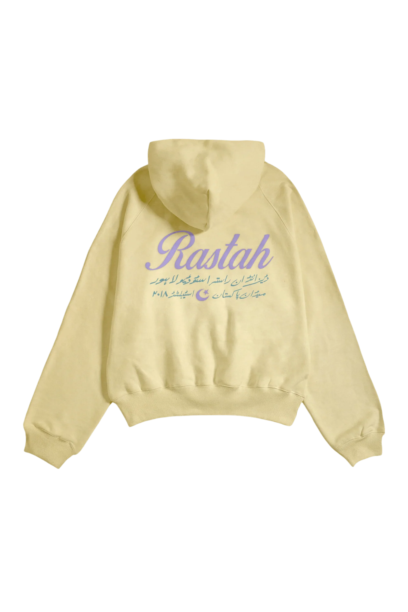 Pistachio made in PAK hoodie (V4) - Image 5