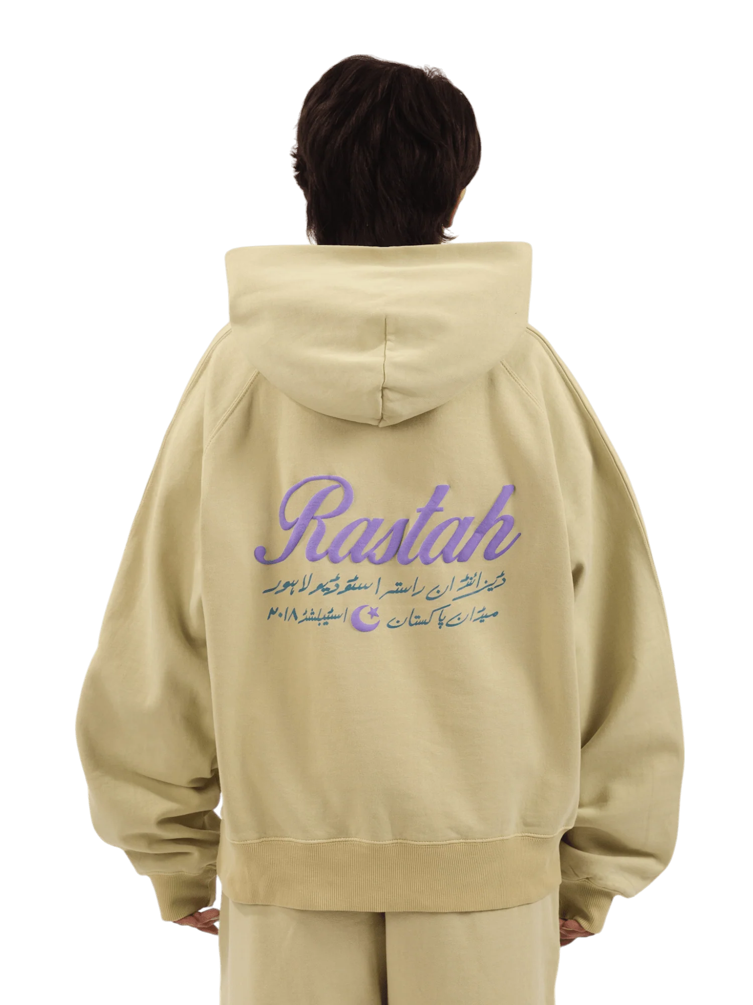 Pistachio made in PAK hoodie (V4) - Image 8