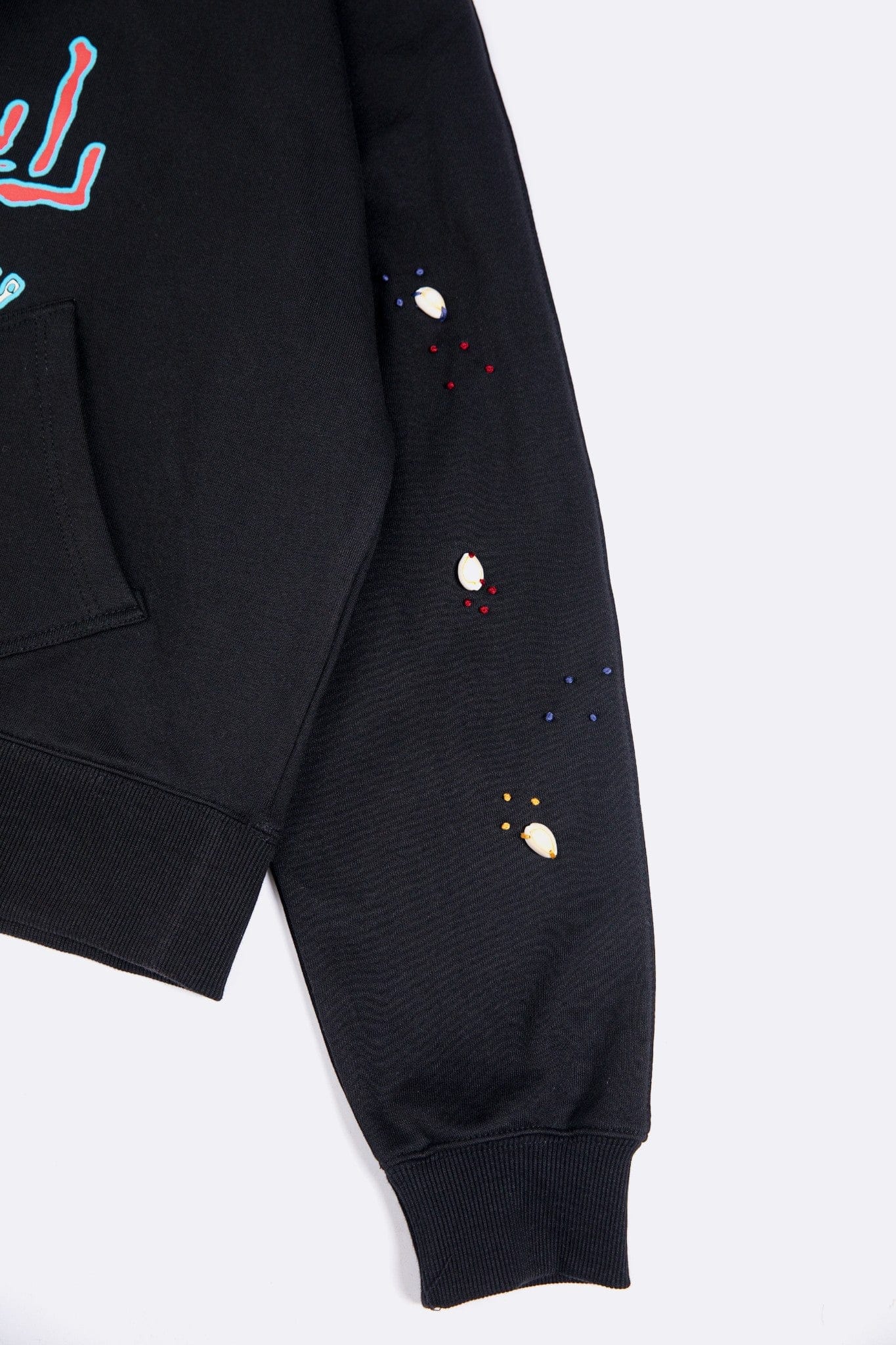 Raaste embroidered hoodie - Image 14